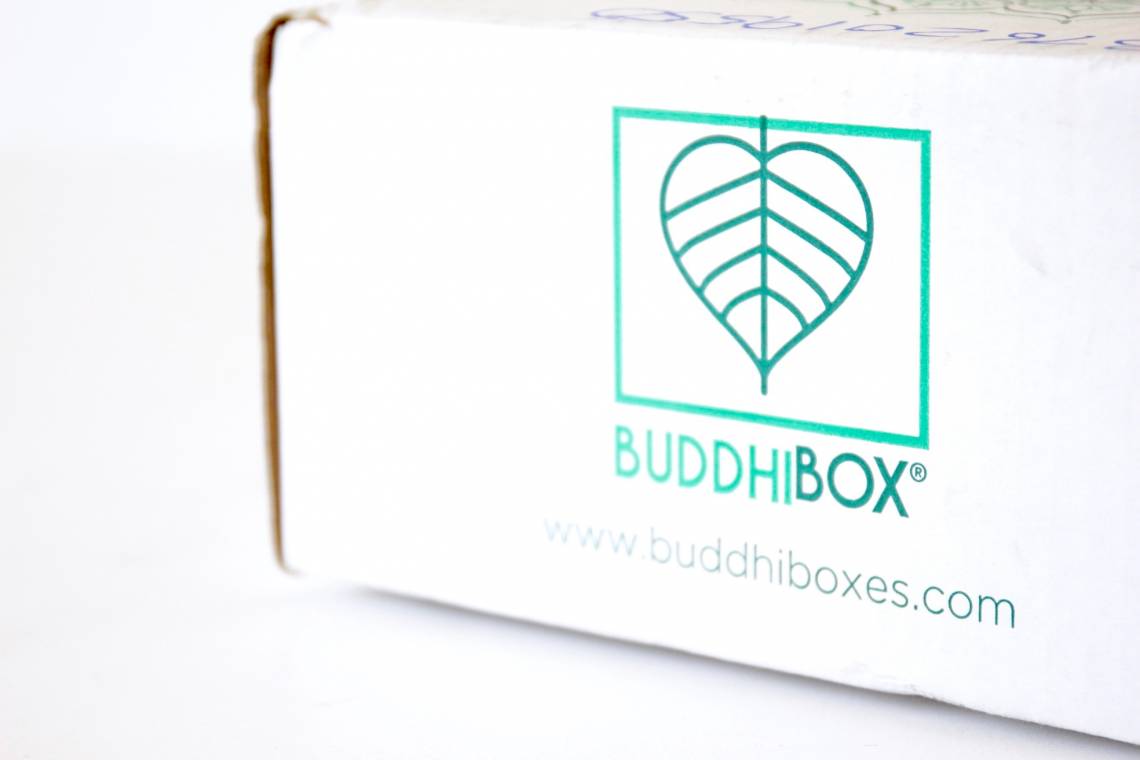 BuddhiBox Review June 2016 1