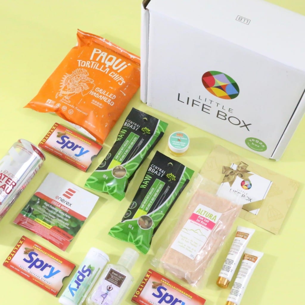 little-life-box-review-november-2016-7
