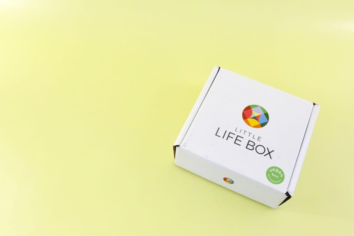 little-life-box-review-november-2016-1