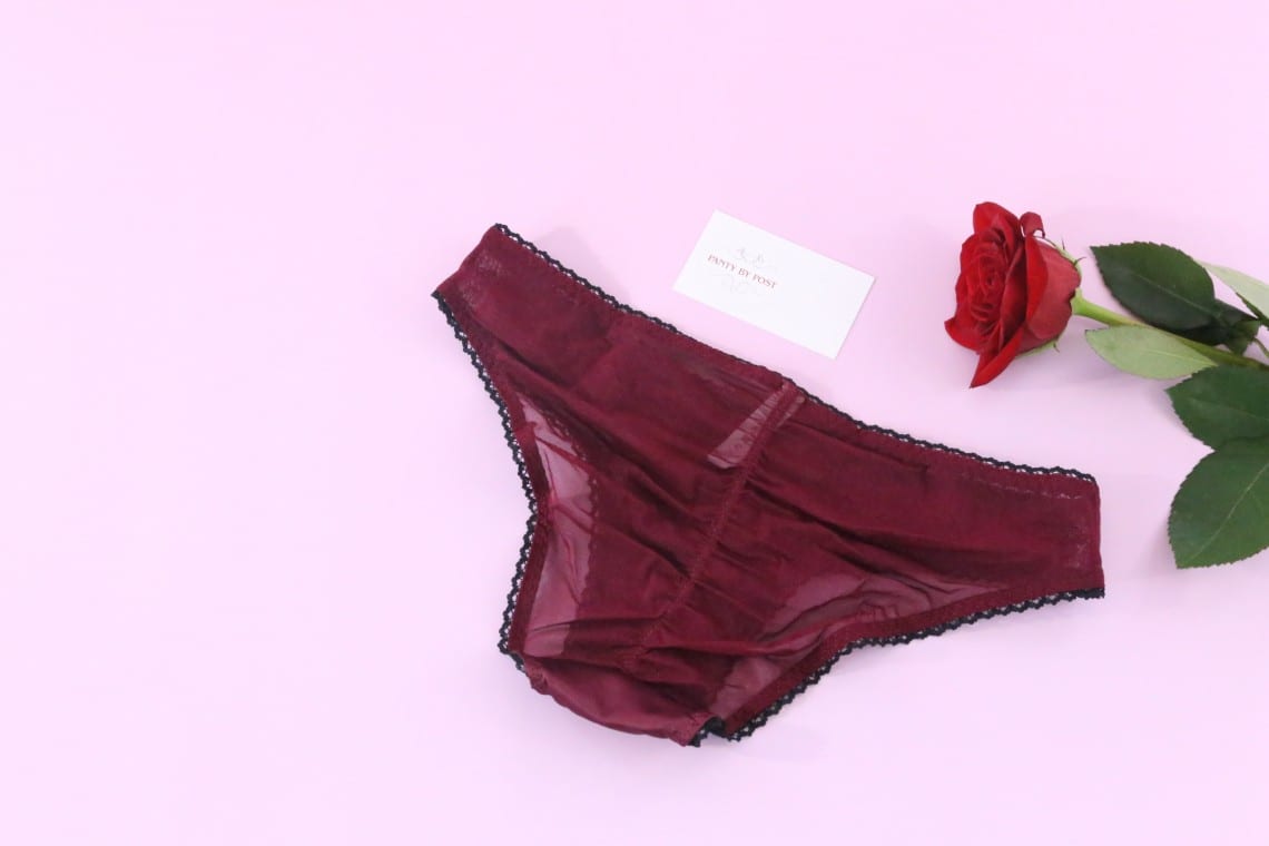 panty-by-post-review-november-2016-6