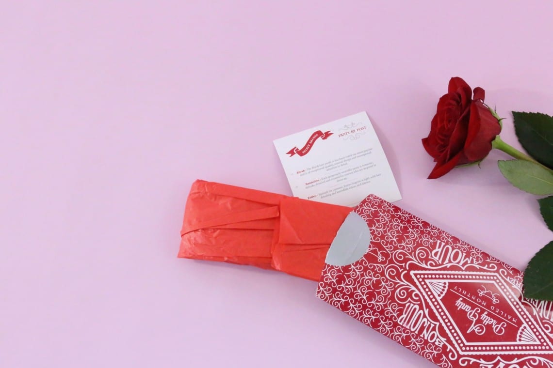 panty-by-post-review-november-2016-2