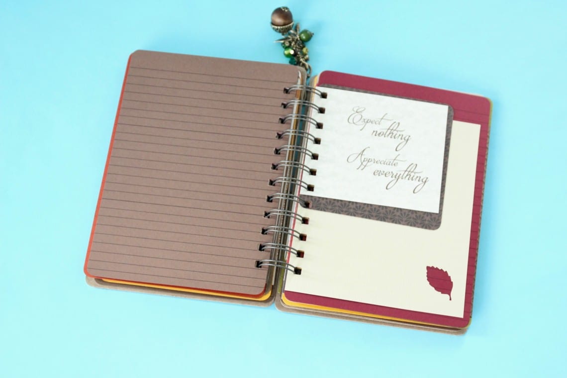 holly-journals-review-november-2016-8