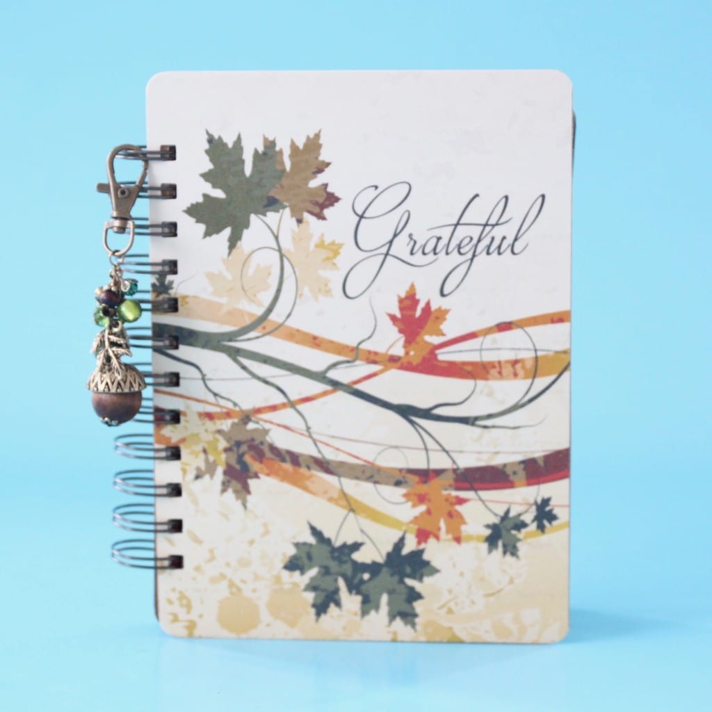 holly-journals-review-november-2016-6