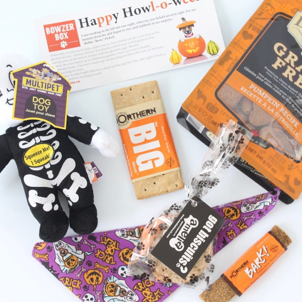 bowzer-box-review-october-2016-5