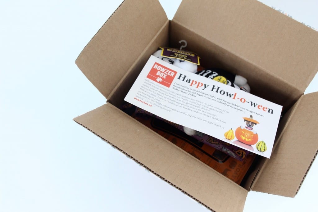 bowzer-box-review-october-2016-3
