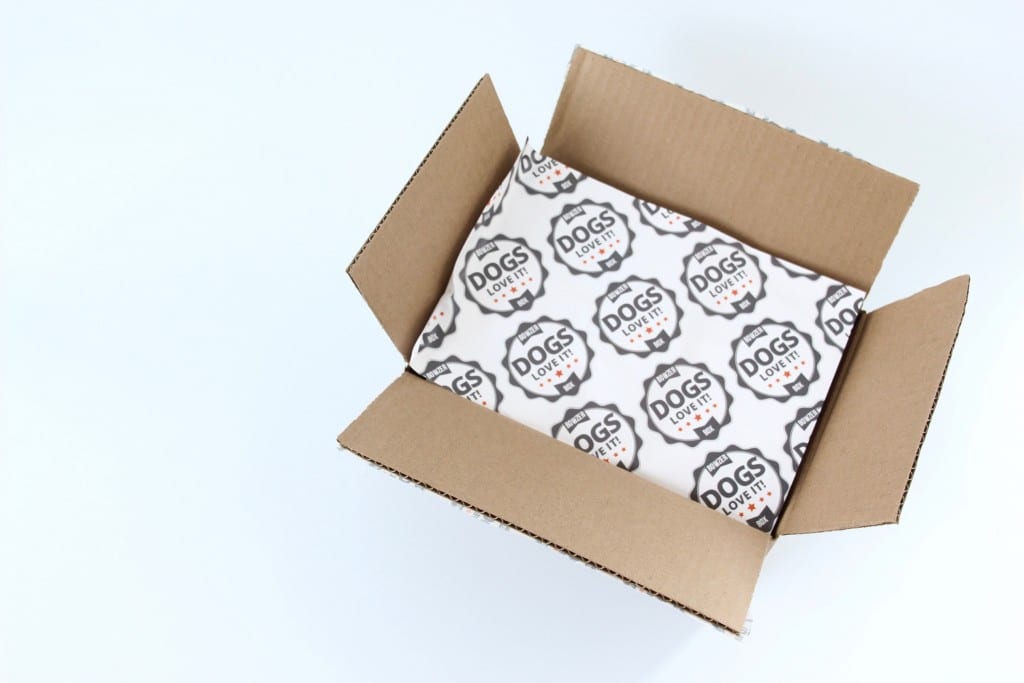 bowzer-box-review-october-2016-1