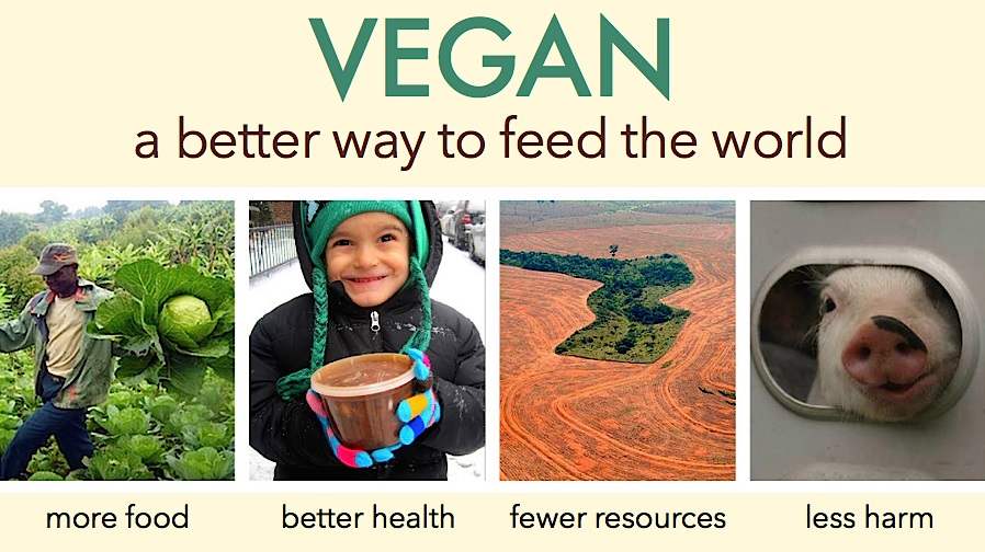 Veganfooddrivebanner