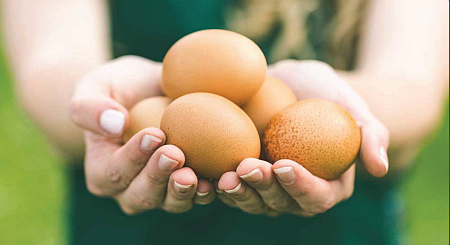 Donate eggs