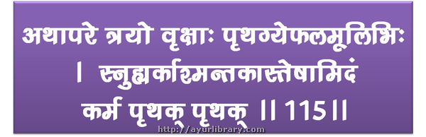 115th verse - Charaka Samhita Sutra Chapter 1