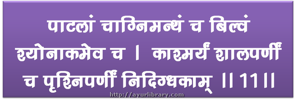 11th verse - Charaka Samhita Sutra Chapter 2