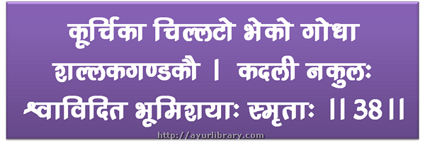 38th verse - Charaka Samhita Sutra Chapter 27