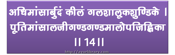 19th verse - Charaka Samhita Sutra Chapter 28