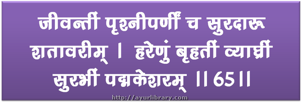 65th verse - Charaka Samhita Sutra Chapter 5