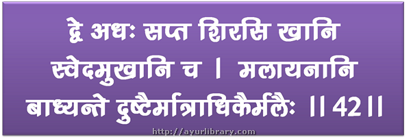 42nd verse - Charaka Samhita Sutra Chapter 7