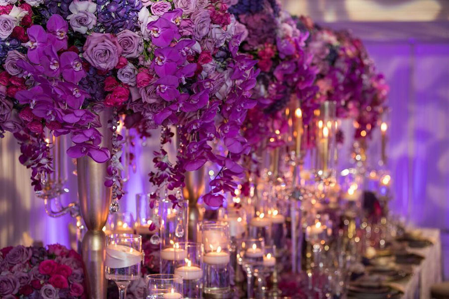Ultravioleta harmonia de cores
