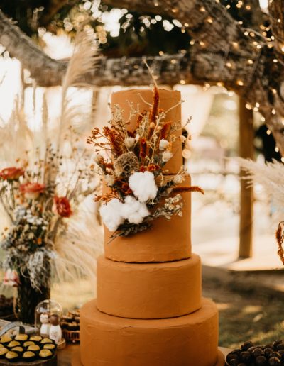 pexels-jonathan-borba-9703870