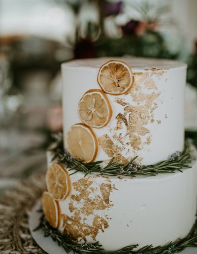 pexels-tara-winstead-6479548