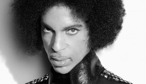 Fotografía de referencia.