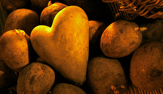 papas corazon