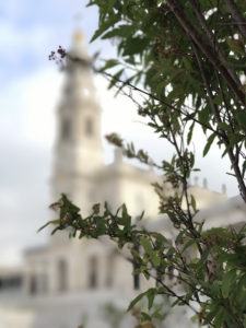 Fatima Cathedral behind some bushes on the Fatima campus.
