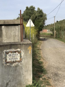Arrow showing the way along the Camino Portuguese.