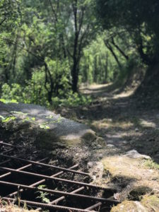 Path leading out of the city to the camino.