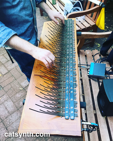 Kalimba with 31edo tuning. Pet the Tiger