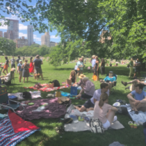 Picnic in Central Park