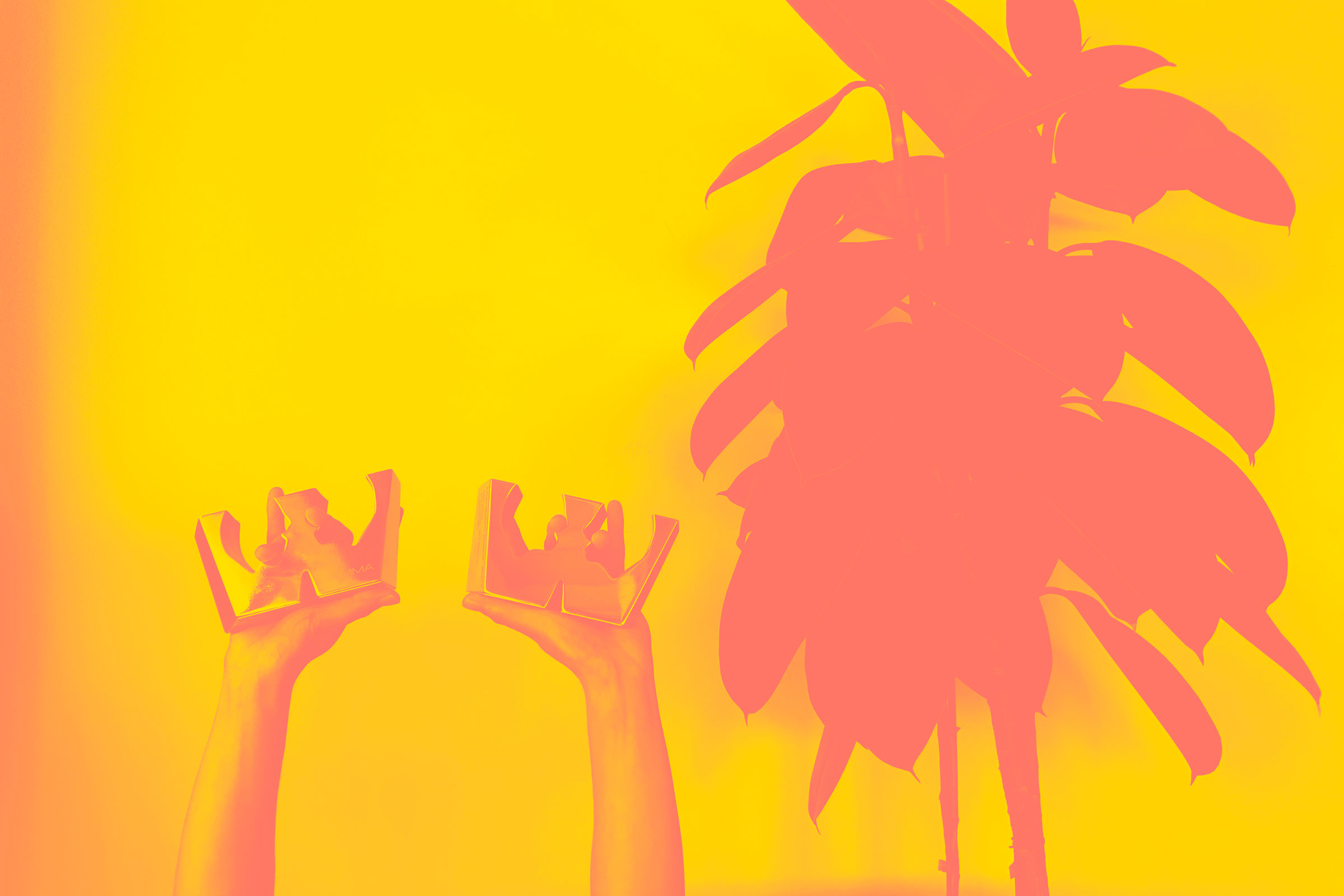 Womma Award Hot Fire