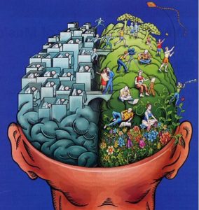 left and right brain comparison