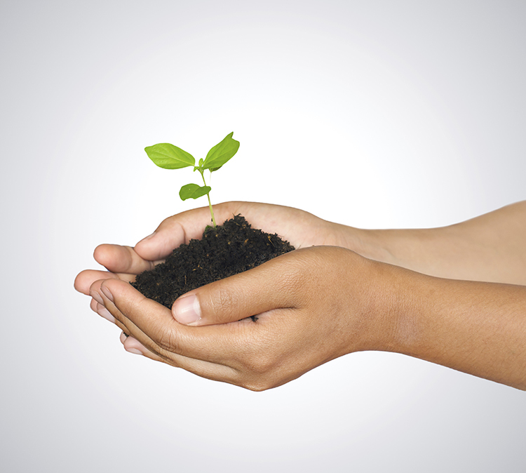 Healthy Church Solutions - Personal Growth