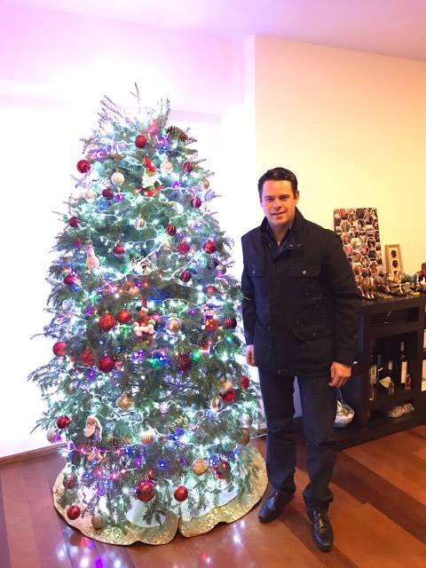 arboles de navidad 2016