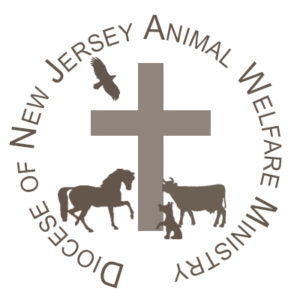 animalwelfare4