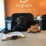 Social Media Highlights: Week of July 16, 2018