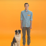 Discover the Dogtopia Difference