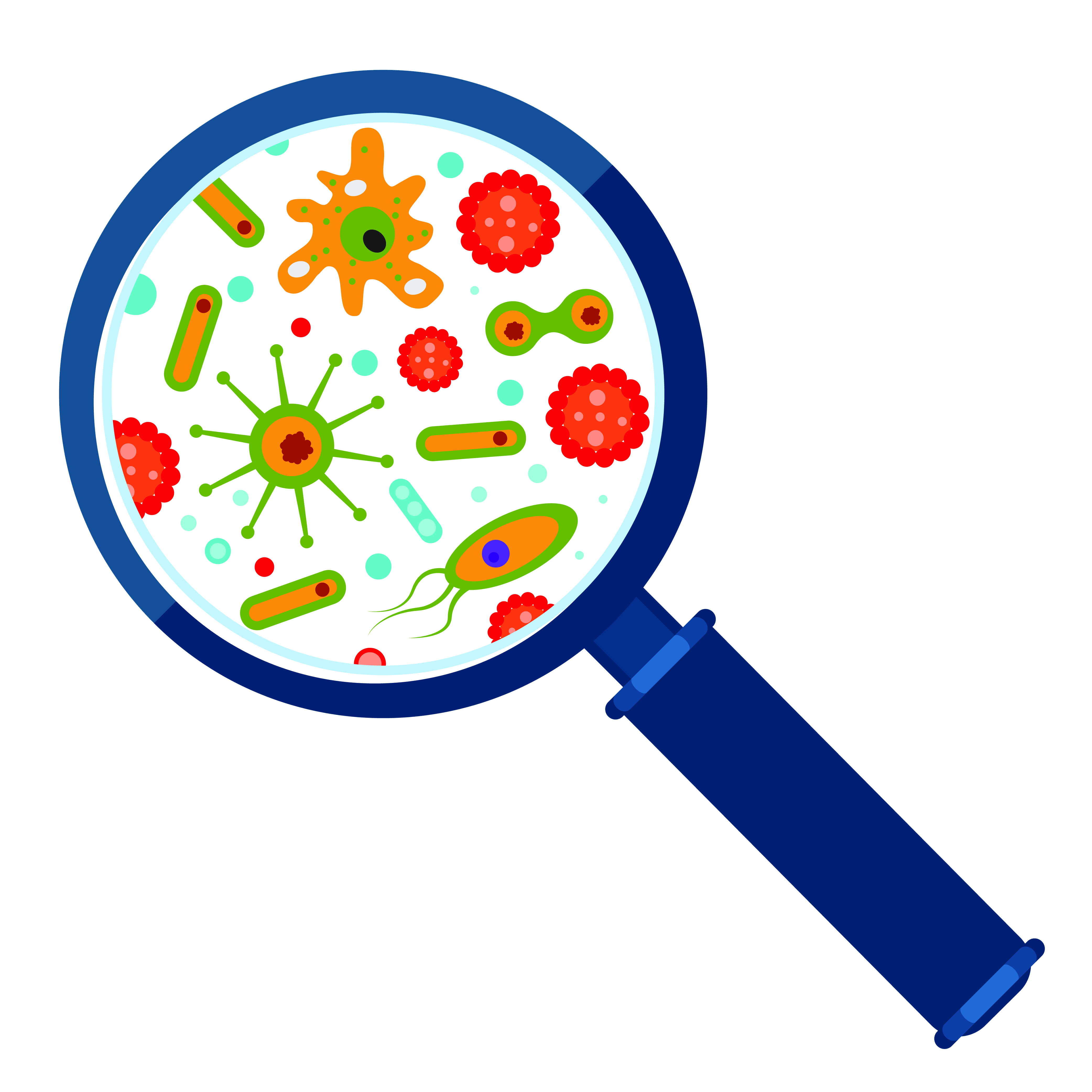 Magnifier and bacteria