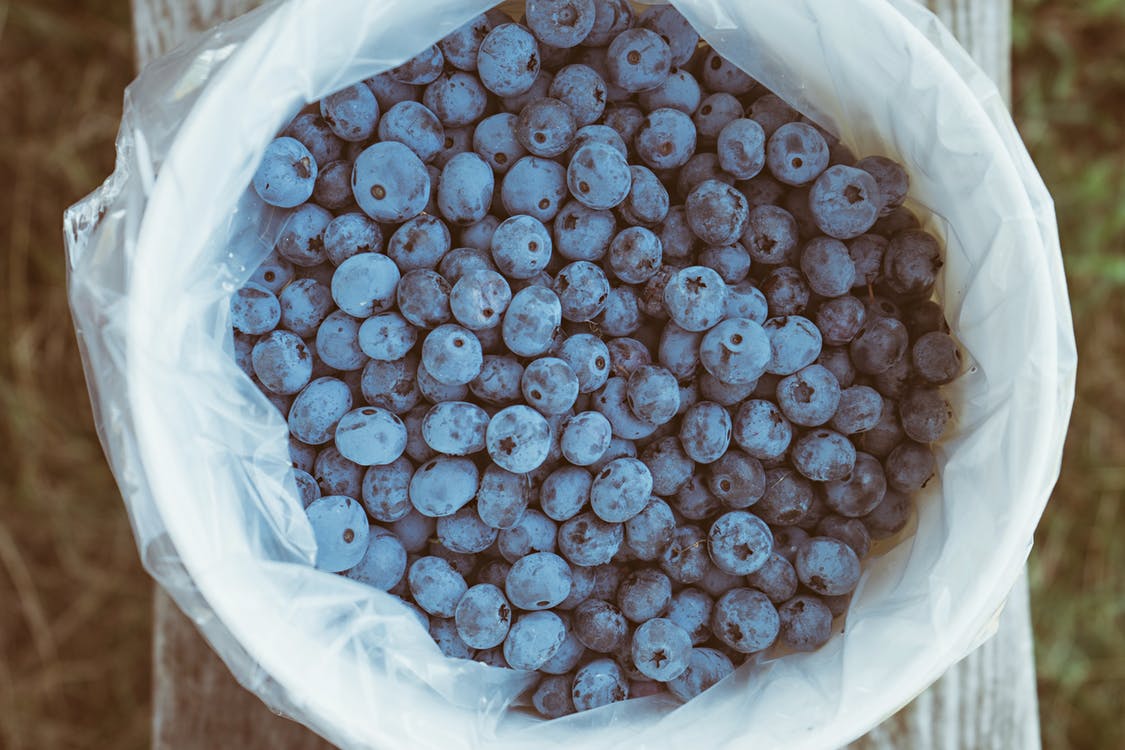 blueberries healthy snack berries