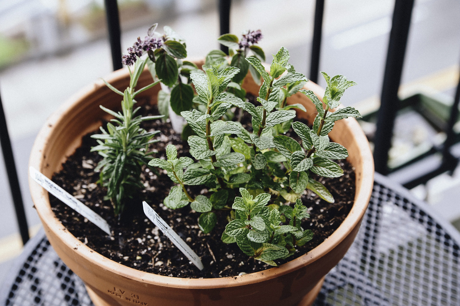 herb garden diy herb garden diy