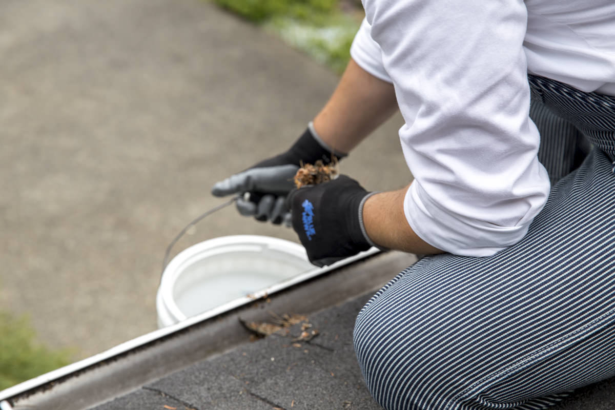 Dunn DIY How to Clean Your Gutters Like A Professional Seattle WA 6