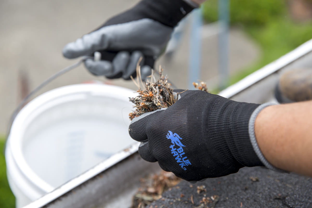 Dunn DIY How to Clean Your Gutters Like A Professional Seattle WA 8