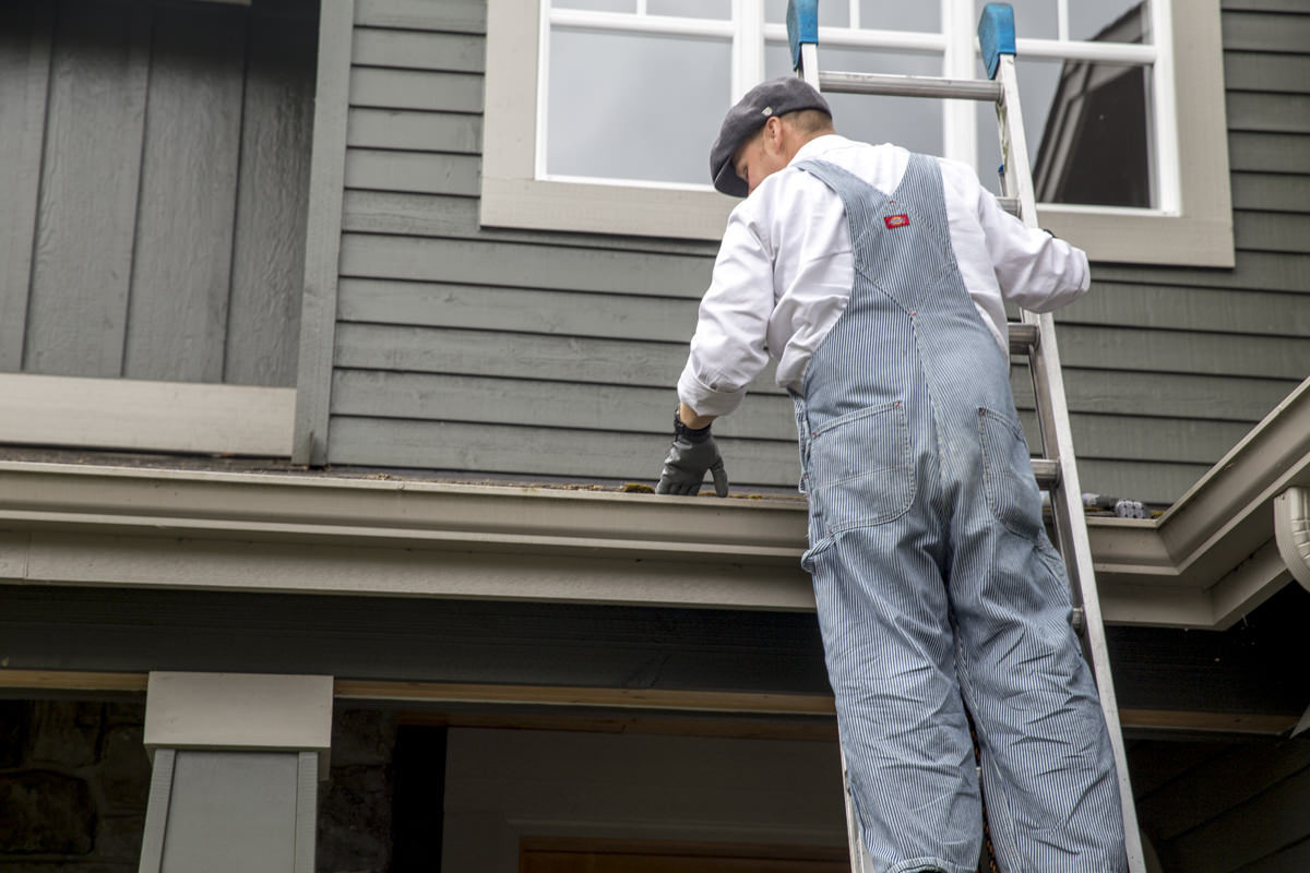 Dunn DIY How to Clean Your Gutters Like A Professional Seattle WA 3