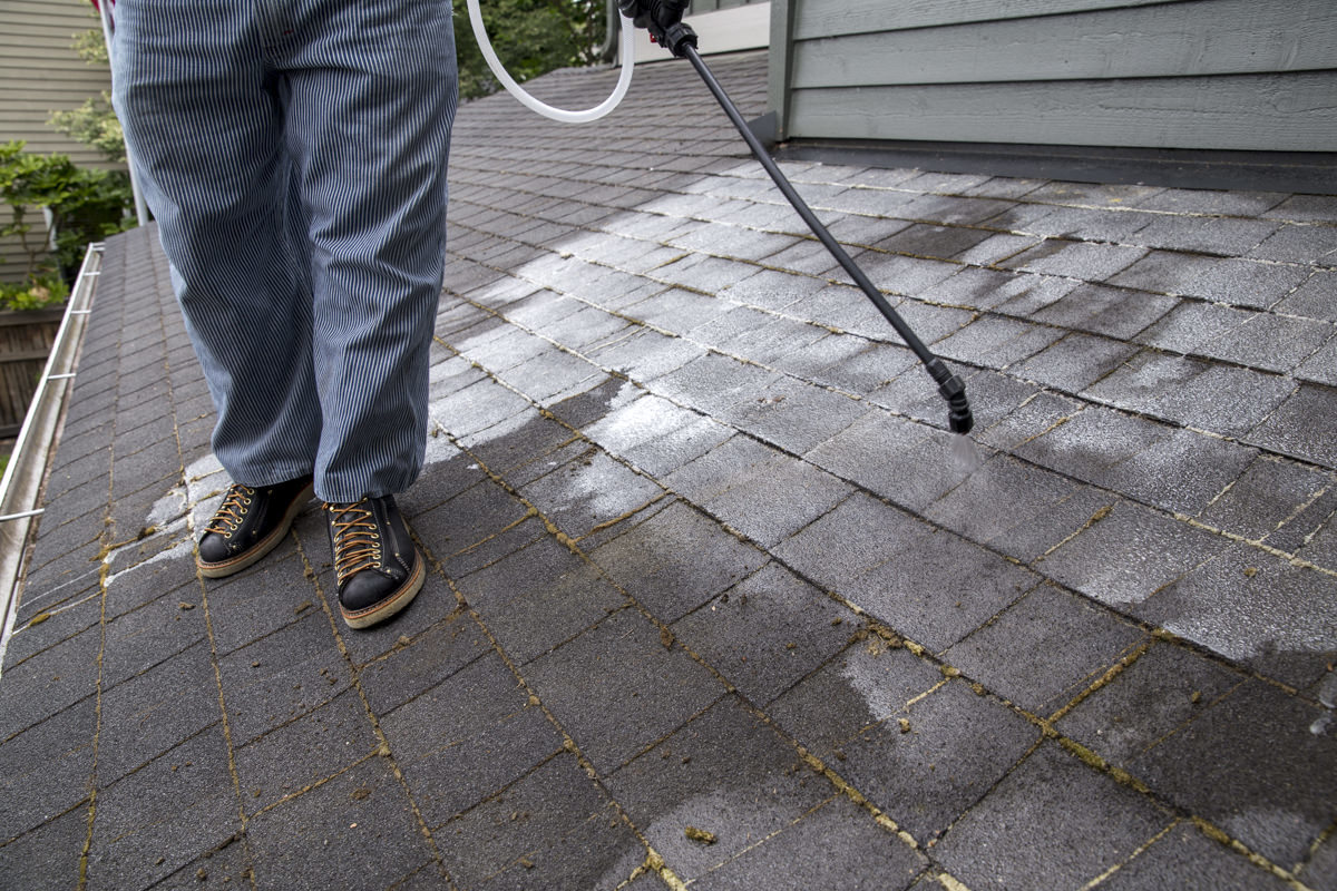 applying moss treatment to roof