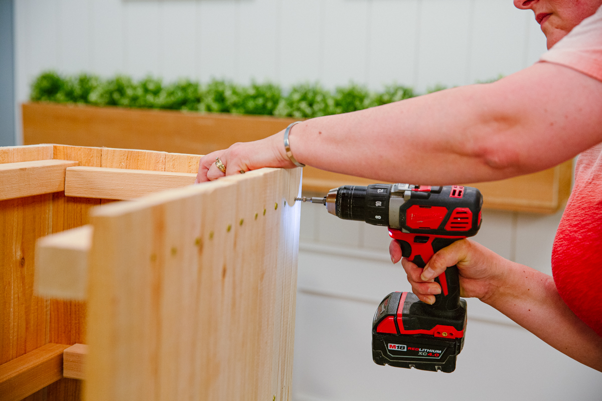 Driving screw with power drill to attach side panel to end of wood DIY elevated planter box assembly.