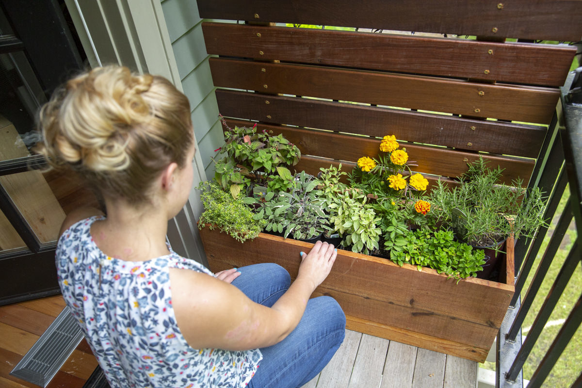 Wood DIY privacy screen planter full of plants, stained with Penofin Verde Natural.