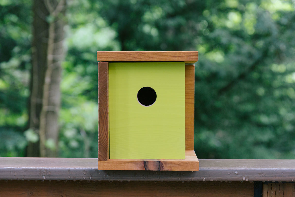 Wood DIY birdhouse with green paint, stained with Sikkens Cetol SRD Natural Oak.