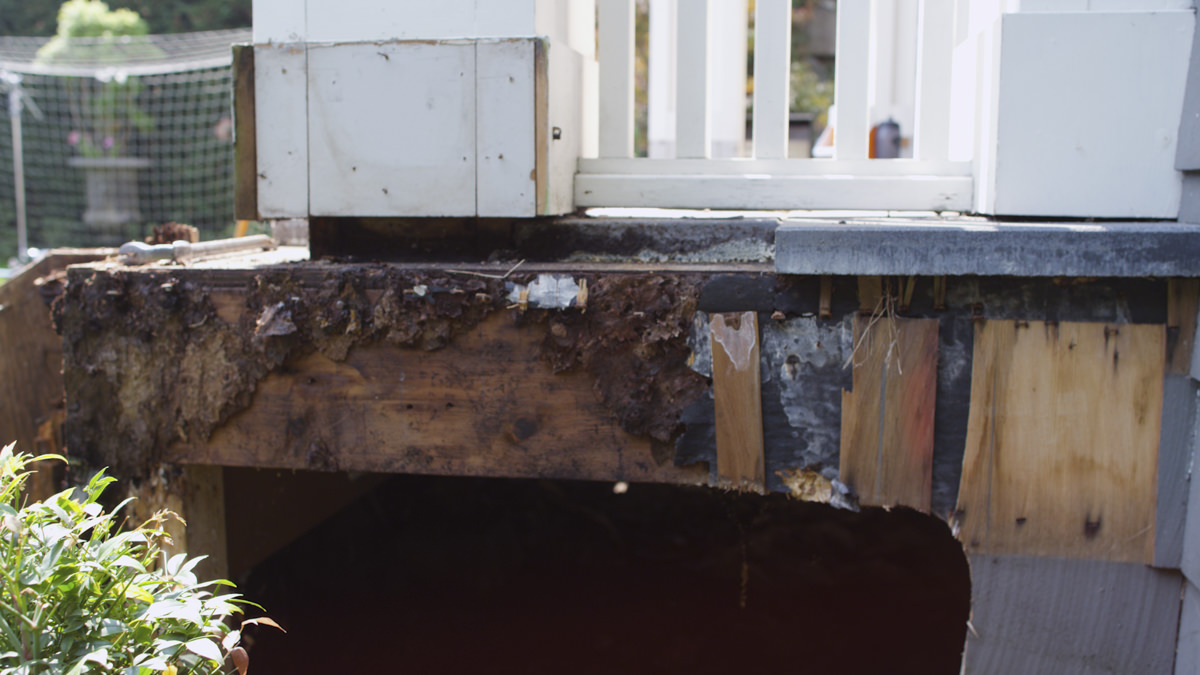 Dunn Lumber How to Prevent Rot and Decay Seattle WA 1 Dunn Lumber How to Prevent Rot and Decay Seattle WA 1