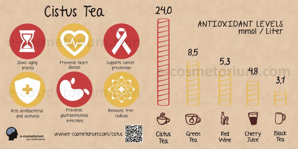 cistus antioxidant levels