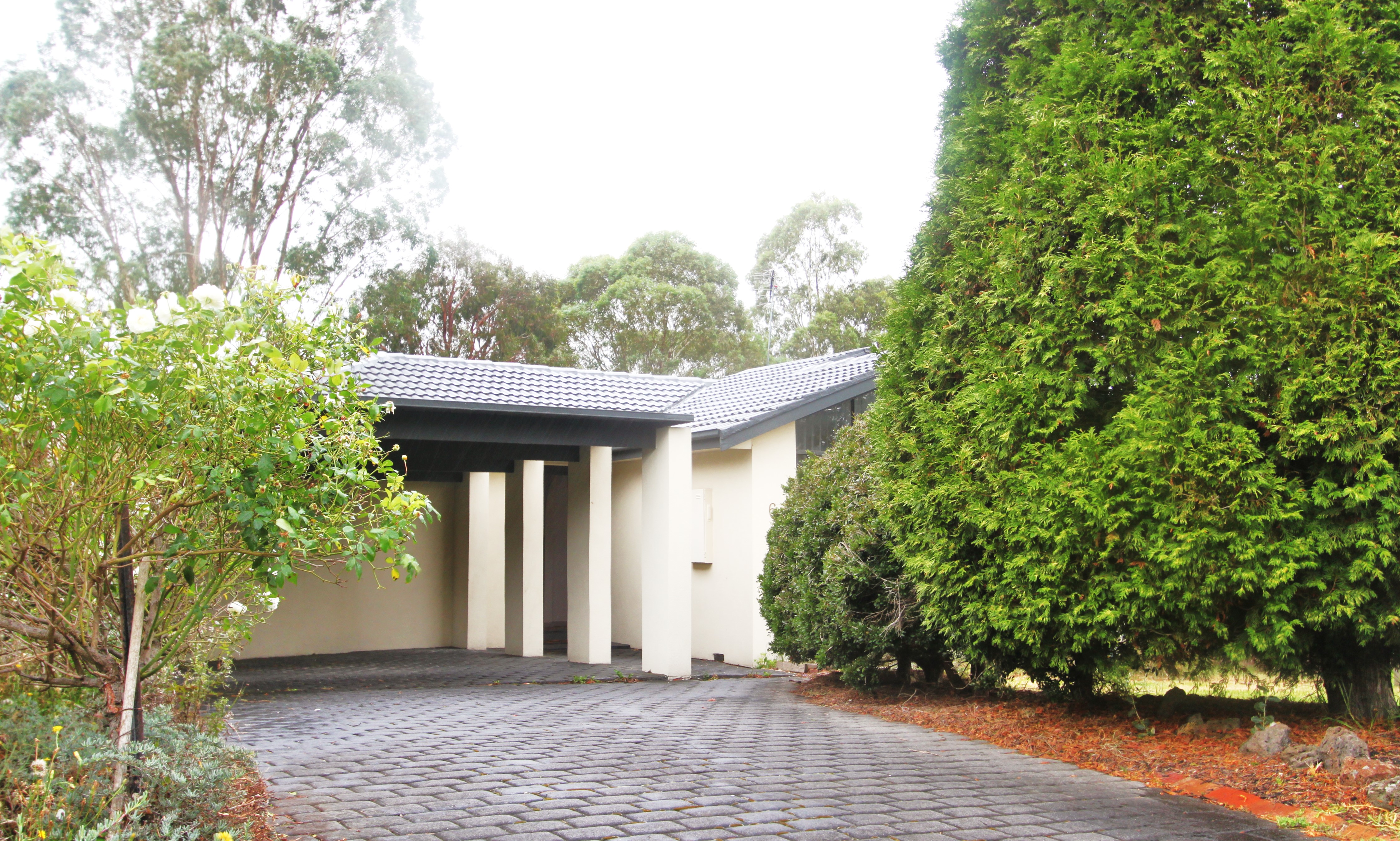 6 Mariposa Court, Wantirna South