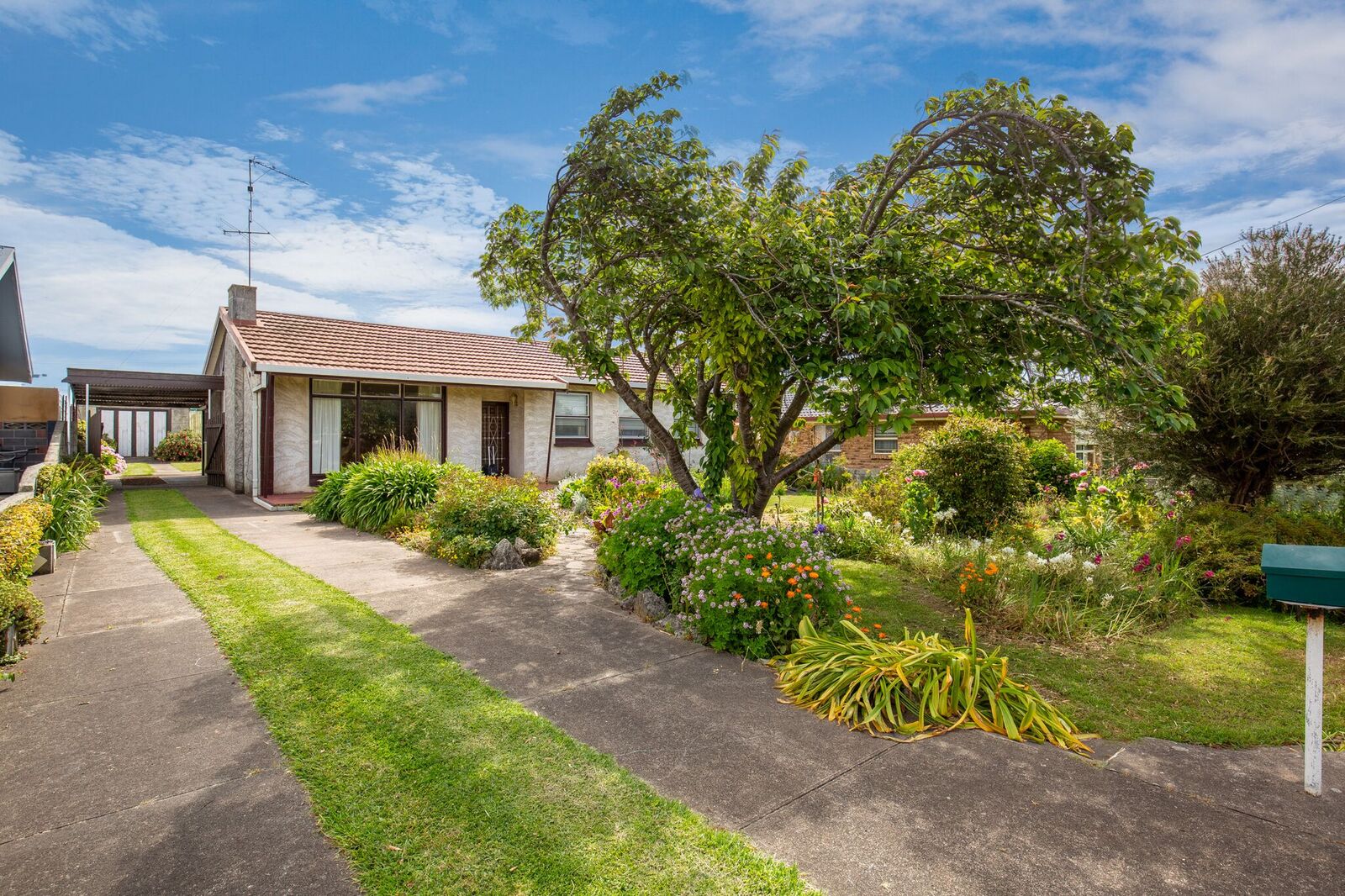 77 Cardinia Street, Mount Gambier