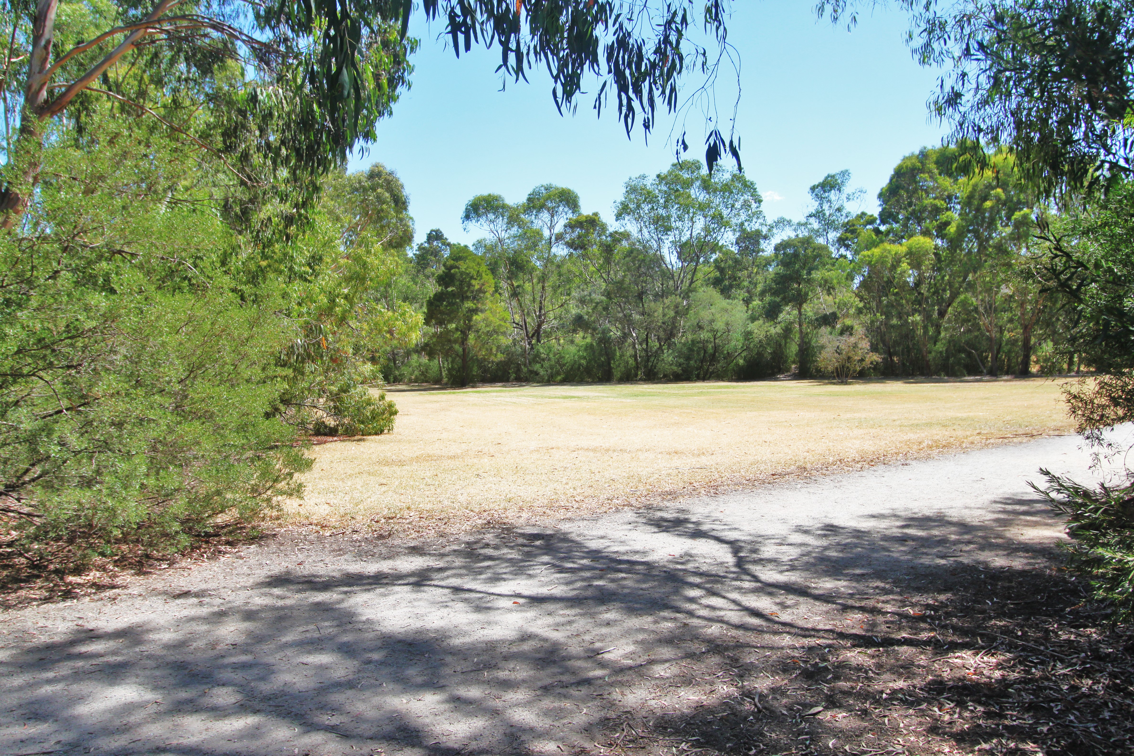 38 Glengarry Avenue, Burwood